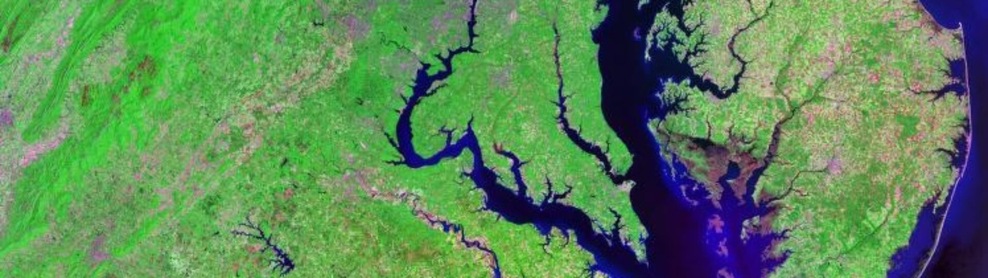 Chesapeak Bay